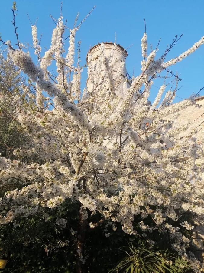 B&B Vicidomini San Marco dei Cavoti Exteriör bild